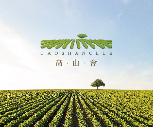 航空標(biāo)志設(shè)計(jì)